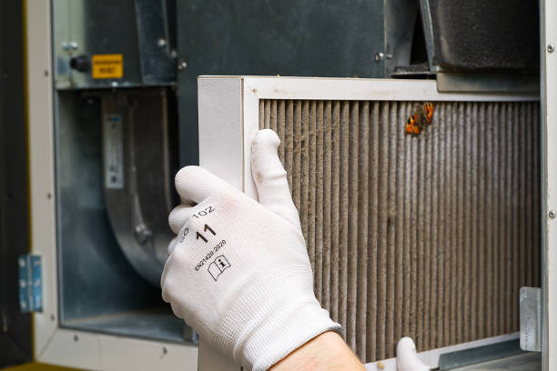 Best Air Duct Cleaning Near Me  in Trumann, AR